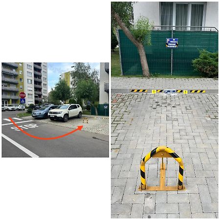 Newlevel Studio Brašov Exteriér fotografie