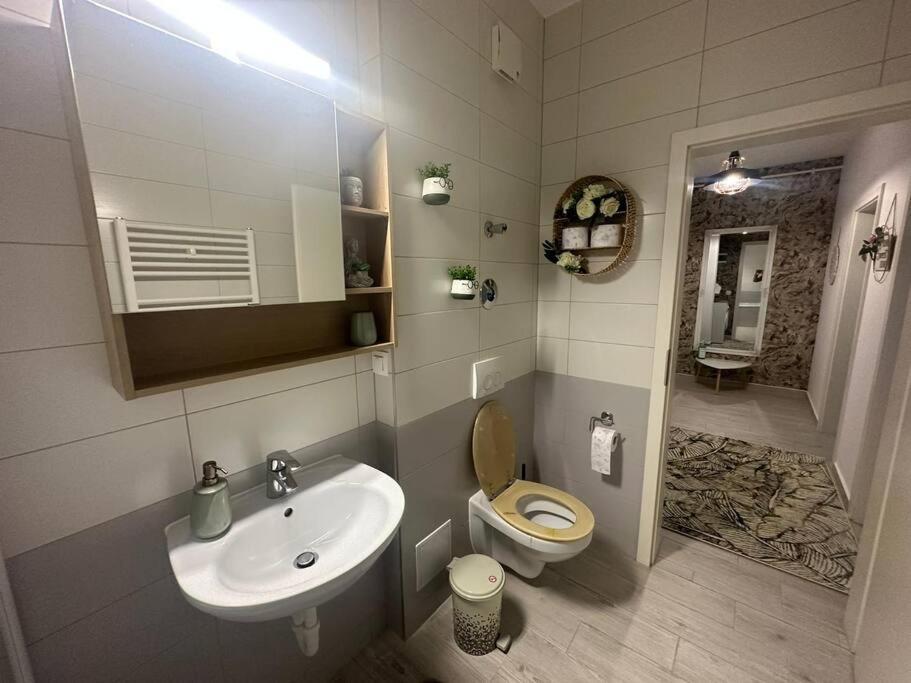 Newlevel Studio Brašov Exteriér fotografie