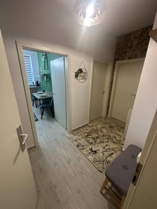 Newlevel Studio Brašov Exteriér fotografie