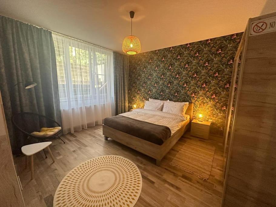 Newlevel Studio Brašov Exteriér fotografie