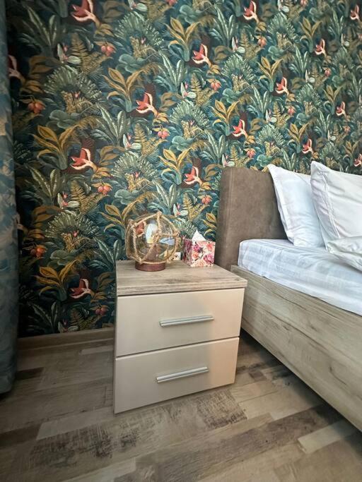 Newlevel Studio Brašov Exteriér fotografie
