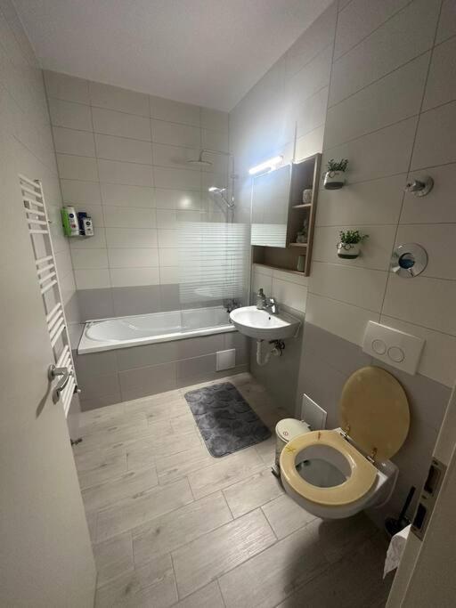 Newlevel Studio Brašov Exteriér fotografie