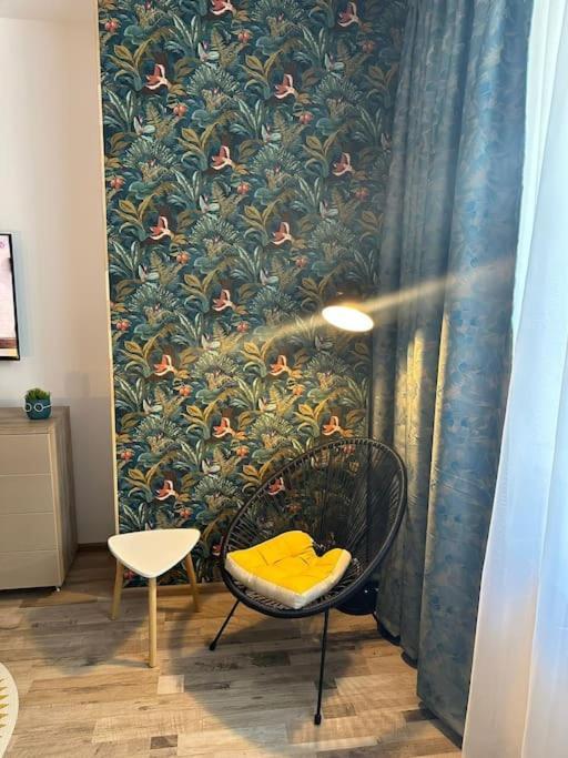 Newlevel Studio Brašov Exteriér fotografie