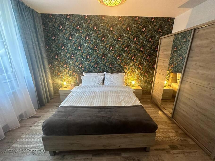 Newlevel Studio Brašov Exteriér fotografie